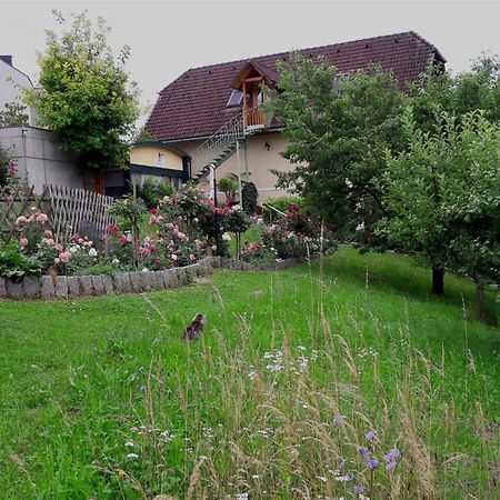 Ferienwohnungen Soravia Gamlitz Extérieur photo