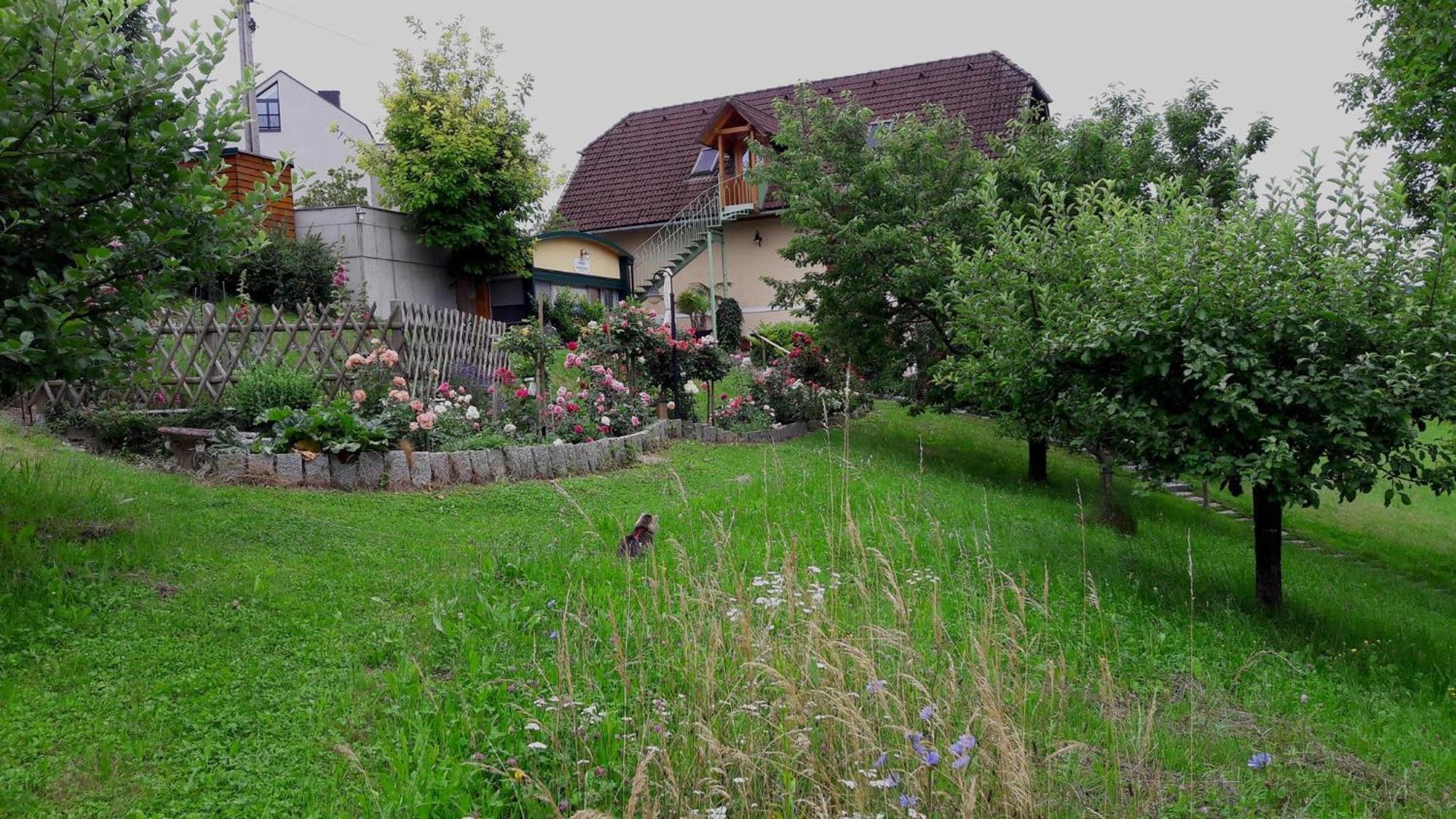 Ferienwohnungen Soravia Gamlitz Extérieur photo
